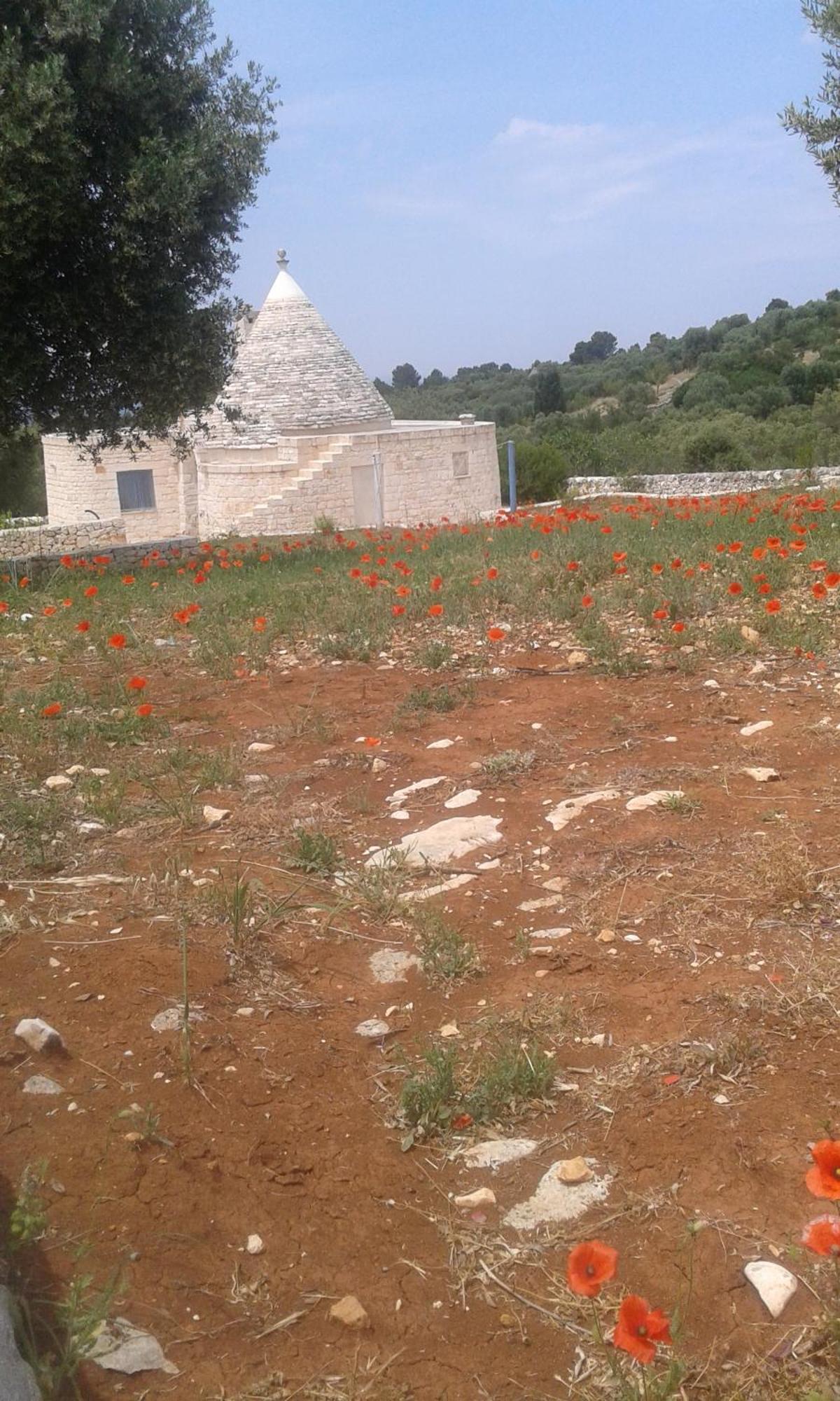 Trullo Alto Salento Villa Cisternino Exterior foto